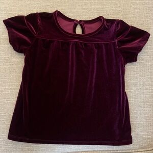 Plush Velvet Short Sleeve Top
